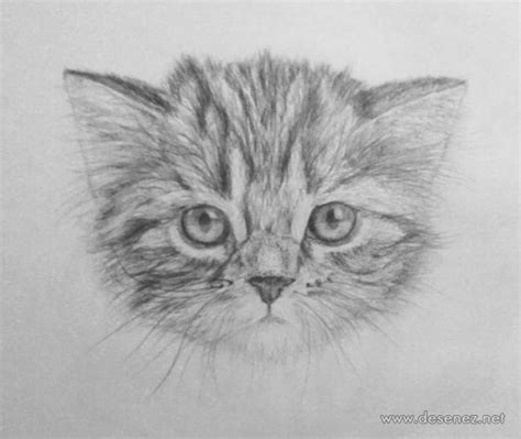 Desene In Creion Cu Animale Deeascumpik Cats Art Drawing Cat