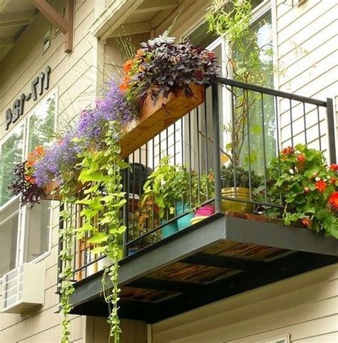 Plants Ideas Balcony 41 Pretty Plants Ideas For Your Balcony To Copy