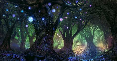 Enchanted Forest Download Hd Wallpapers And Free Images