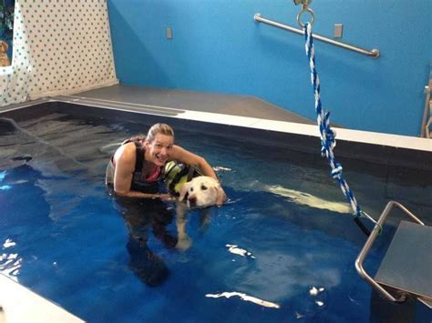 Swimming Therapy For The Dogs Of Montana