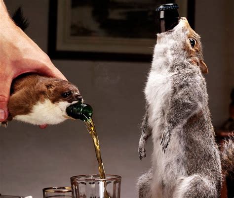 Brewdog End Of History Beer Costs 20k And Comes In A Taxidermied