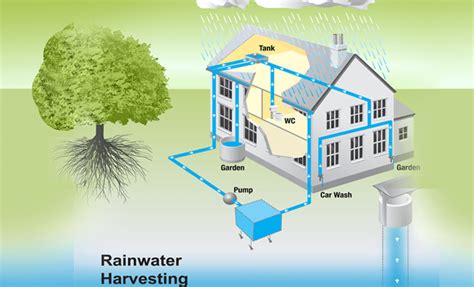 Rooftop Rainwater Harvesting Its 4 Components And Benefits