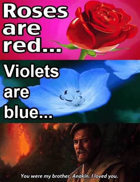Roses Are Red Violets Are Blue Tldr They Differ In Hue Star Wars