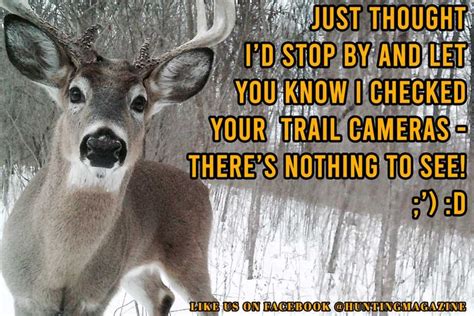 Funny Deer Hunting Pictures Jokes