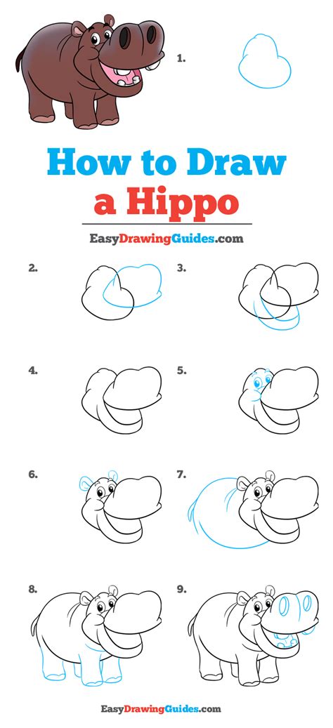 How To Draw A Cute Cartoon Hippo Simple Steps Drawing