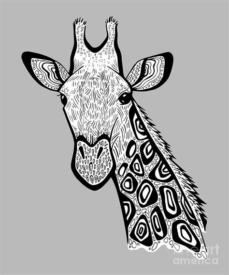 Curious Giraffe Zentangle Drawing By Kylee S Pixels