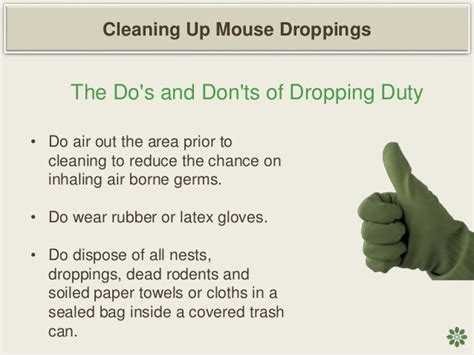 Tips For Cleaning Up Mouse Droppings