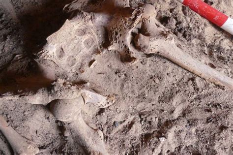 Earliest Known Breast Cancer Identified In Ancient Egyptian Skeleton Ancient Origins