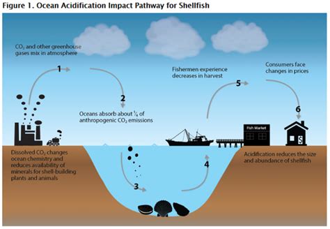 Climate Impacts On Agriculture And Food Supply Climate Change Impacts