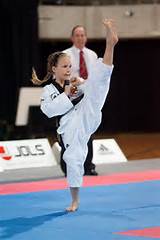 Pictures of What Is Poomsae Taekwondo