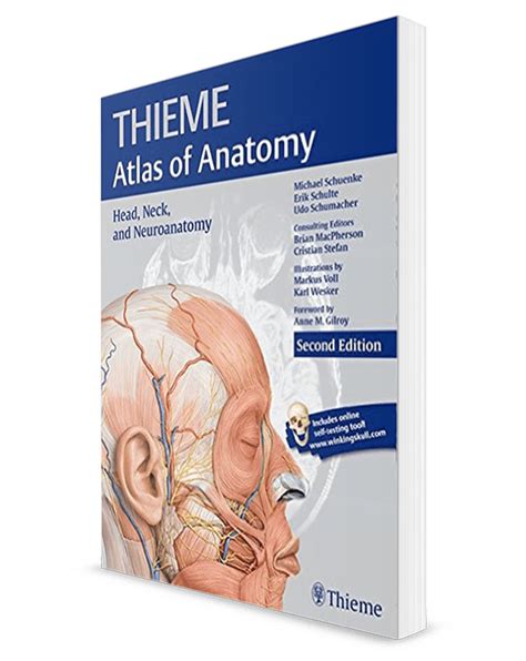 Thieme Atlas Of Anatomy Archidemia