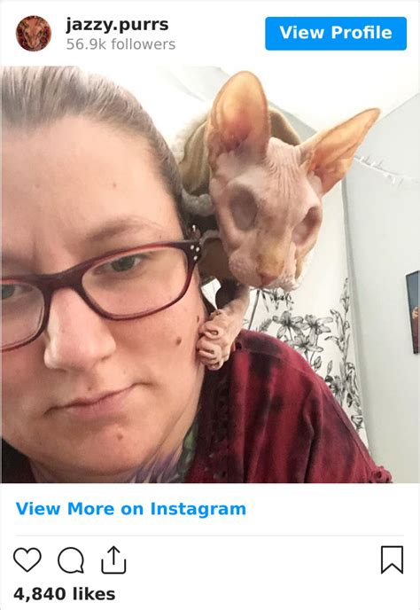 70 Adorable Photos Of The Eyeless Instagram Famous Sphynx Jasper Who