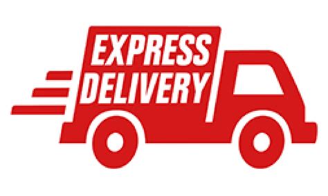 Express Package Delivery