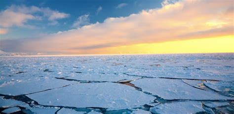 Arctic Sea Ice Continues Its Stonking Recovery The Daily Sceptic