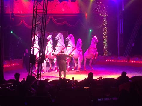 A Piacenza Il Circo Delle Feste è Rolando Orfei Circus News