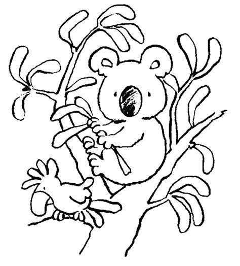 Free the koala brothers coloring pages, we have 51 the koala brothers printable coloring pages for kids to download Koala Outline Drawing at GetDrawings | Free download