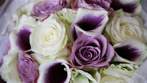 Purple Roses In A Beautiful Bouquet On March 8 Wallpapers