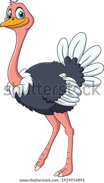 Cute Ostrich Animal Cartoon Illustration Stock Vector Royalty Free