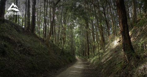 Best Trails Near Mirboo North Victoria Australia Alltrails