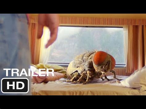 Mandibles Hd Trailer Quentin Dupieux Ad Le Exarchopoulos Comedy Movie Youtube