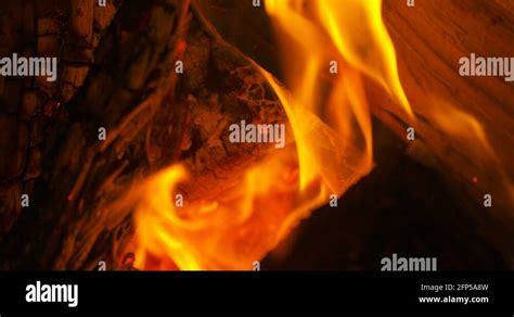 A Wood Log Is Placed Into The Flames Of A Hot Fire Macro Close Up