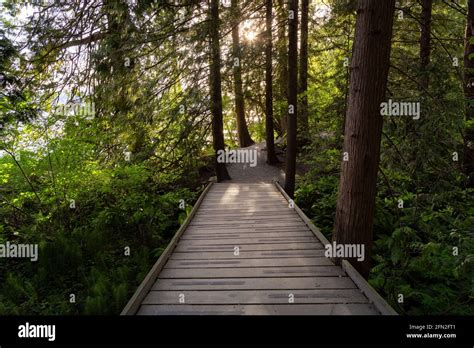 Shoreline Trail Port Moody Greater Vancouver British Columbia