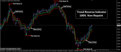 Trend Reverse Indicator 100 Non Repaint Forexprostore Forex