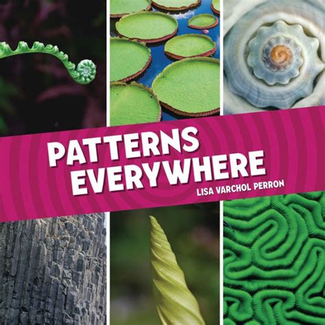 Patterns Everywhere By Lisa Varchol Perron Book Buddy Digital Media