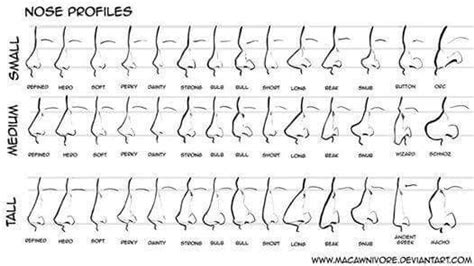 Pin By Maranda Chambers On Writing Ideas Nose Drawing Nose Types
