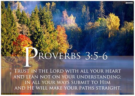 48 Proverbs 3 5 6 Wallpaper