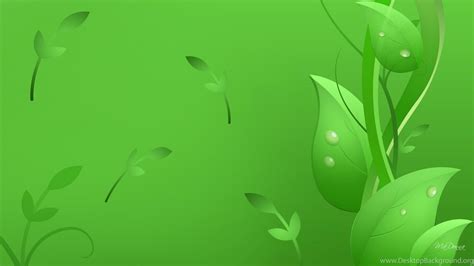 Fresh And Natural Green Leaf Wallpapers Image 1280x960 Hd
