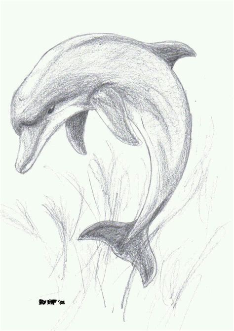 Pin By Litzy Guadalupe On Imagenes Dolphin Drawing Pencil Art