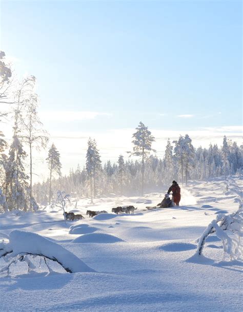 Lapland Travel Finland Europe Lonely Planet