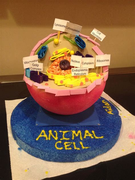 Animal Cell Made Each Item Only Once Animal Cell Project Animal