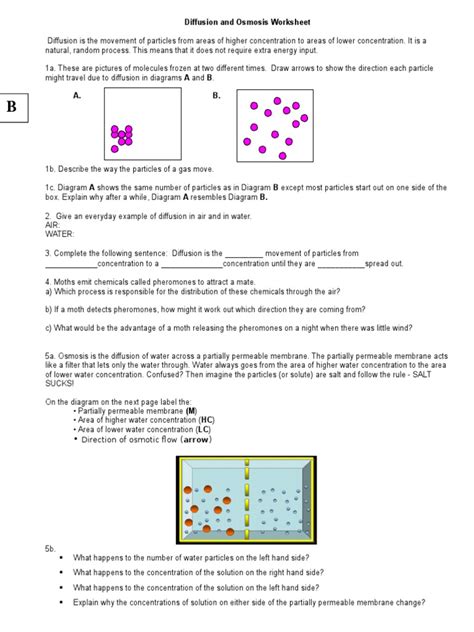 Diffusion And Osmosis Beaker Worksheet Printable Word Searches