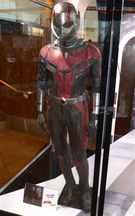 Hollywood Movie Costumes And Props Paul Rudd And Evangeline Lillys