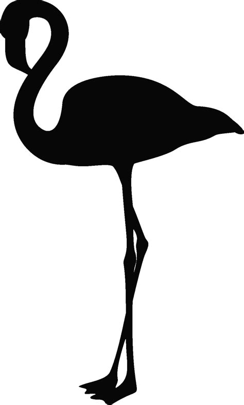 Bird Flamingo Silhouette Beak Clip Art Bird Png Download