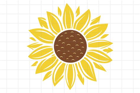 Free Svg Sunflower Outline Svg File For Silhouette Sexiz Pix