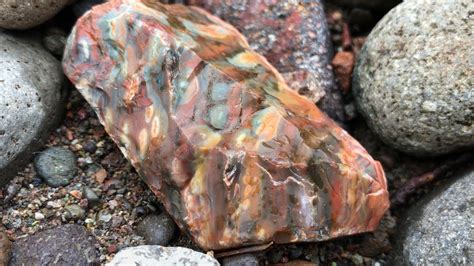 Oregon Only Stones Rockhounding Opal Jasper Agate 2019 Youtube