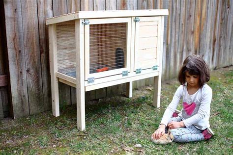Diy Bunny Cage Indoor 10 Best Indoor Outdoor Rabbit Hutches Of 2020