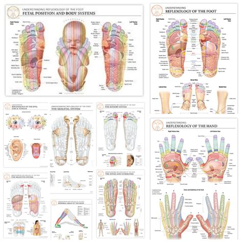 Reflexology Helps Relieve Sinus Congestion