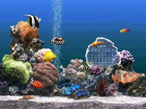 Free Marine Aquarium Screensaver Download Ssenturinx