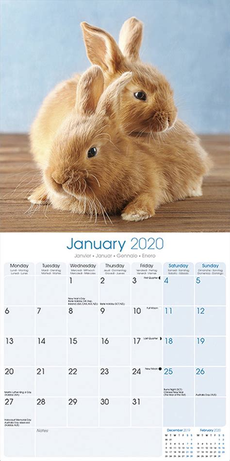 Chinese Calendar Rabbit 2024 Cool Ultimate Awesome Review Of February Valentine Day 2024
