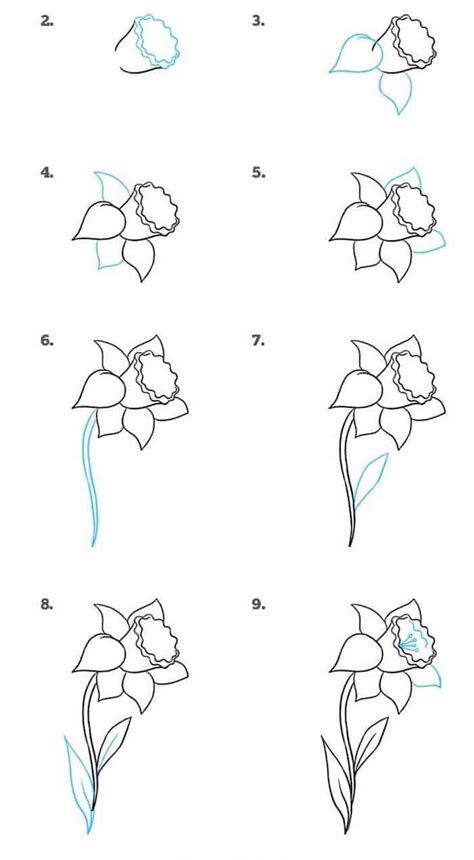 How To Draw A Daffodil Step By Step Drawing Diy Tutorial White