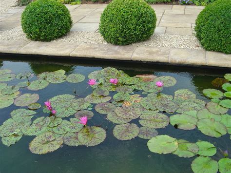 formal ponds traditional other by claudia de yong garden design houzz uk