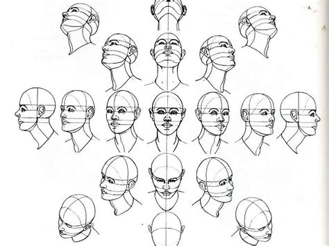 Number Of Head Drawing Tutorials Drawing The Human Head Drawings