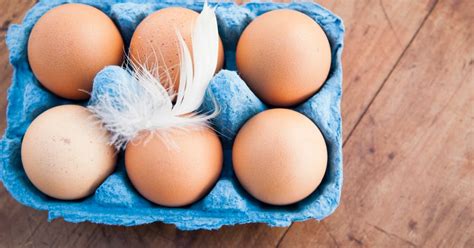 How To Tell If Eggs Have Gone Bad With Fresh Egg Tests Metro News