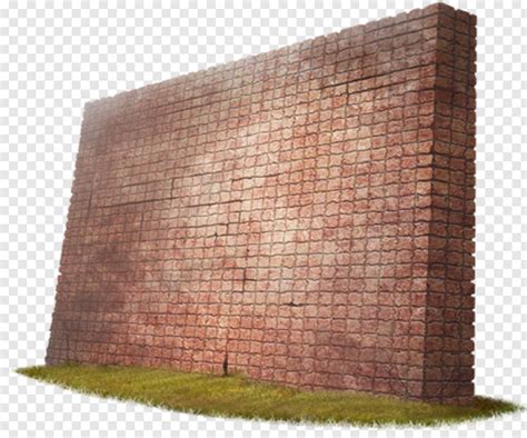 Wall Green Wall Hole In Wall Wall Crack Wall Vines Wall E 593061