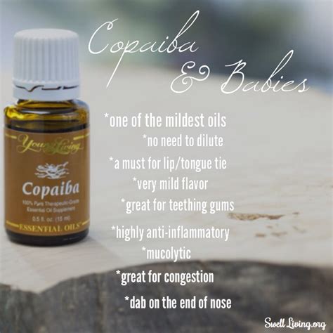 Copaiba essential oil is a popular oil that has many uses and health benefits. Copaiba and Babies | Essential oils for teething ...