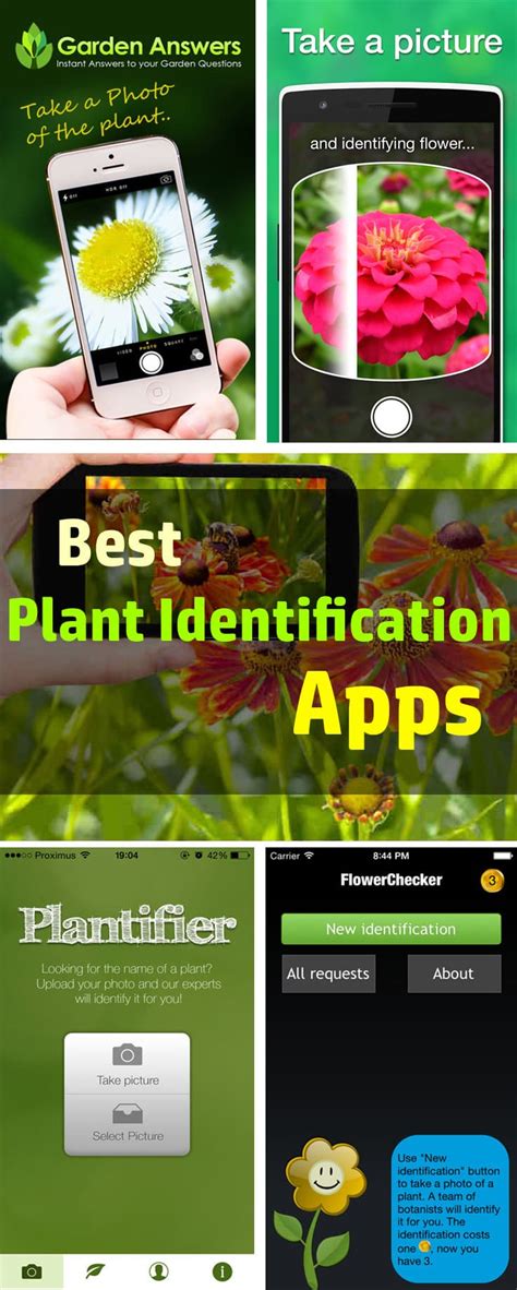 Best Plant Identification Apps Balcony Garden Web